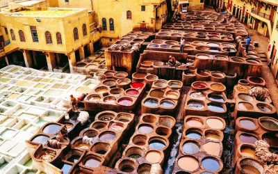 1 Day journey within the Medina of Fes